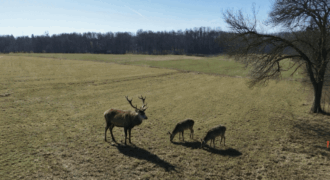 Działka budowlana w Gałkówku pod Łodzią