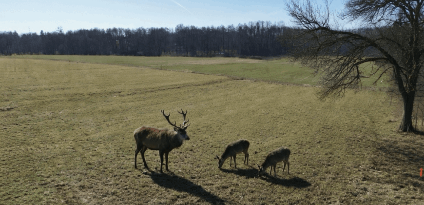 Działka budowlana w Gałkówku pod Łodzią