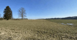 Działka budowlana w Gałkówku pod Łodzią